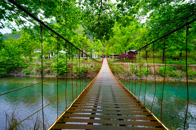 永嘉书院铁索桥